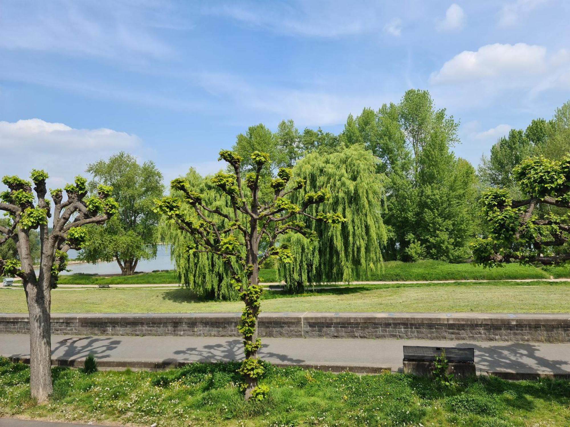 Villahotel Rheinblick Colonia Esterno foto
