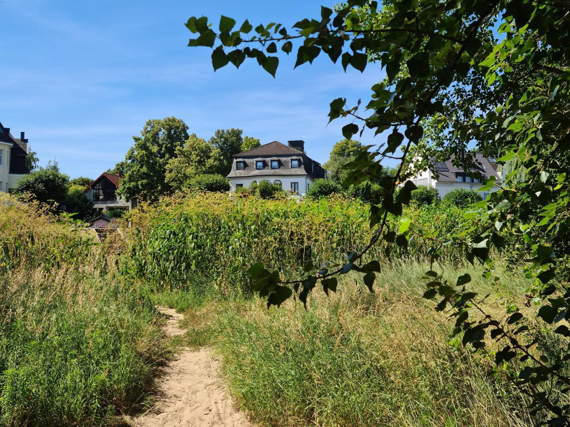 Villahotel Rheinblick Colonia Esterno foto