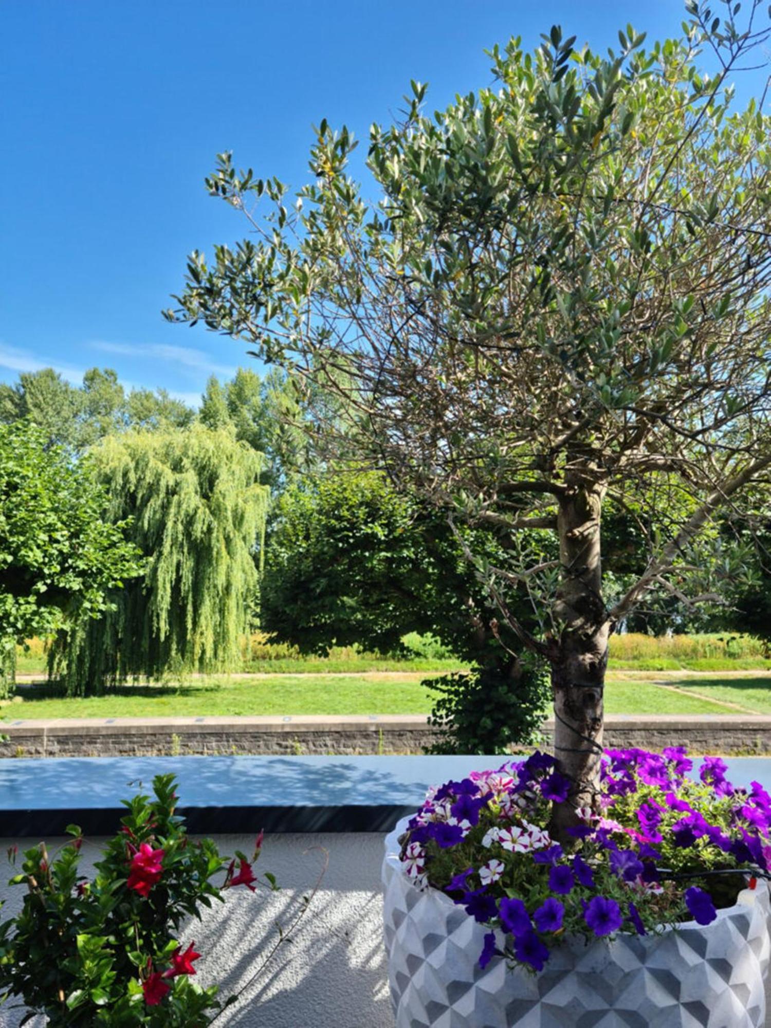 Villahotel Rheinblick Colonia Esterno foto